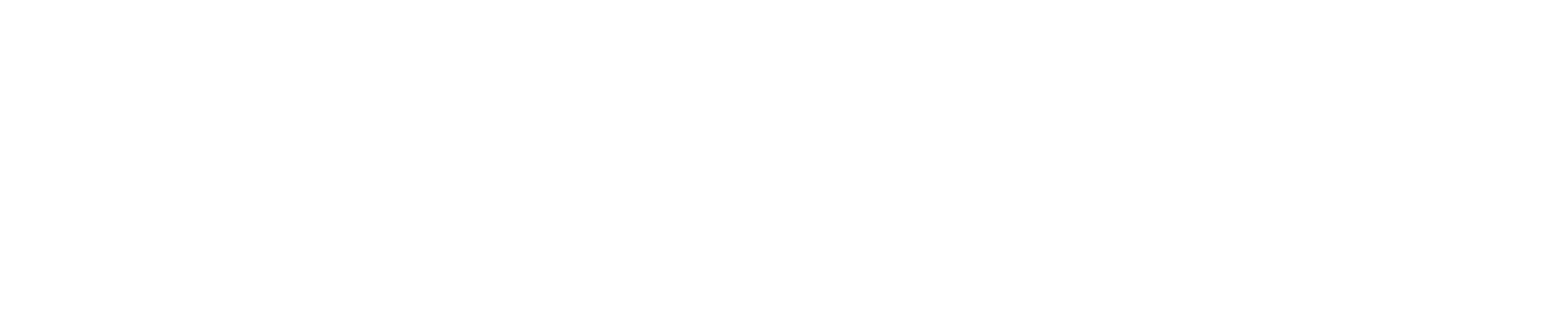 Novelis logo to indicate Wout's continuous engagement as public speaker for this event.